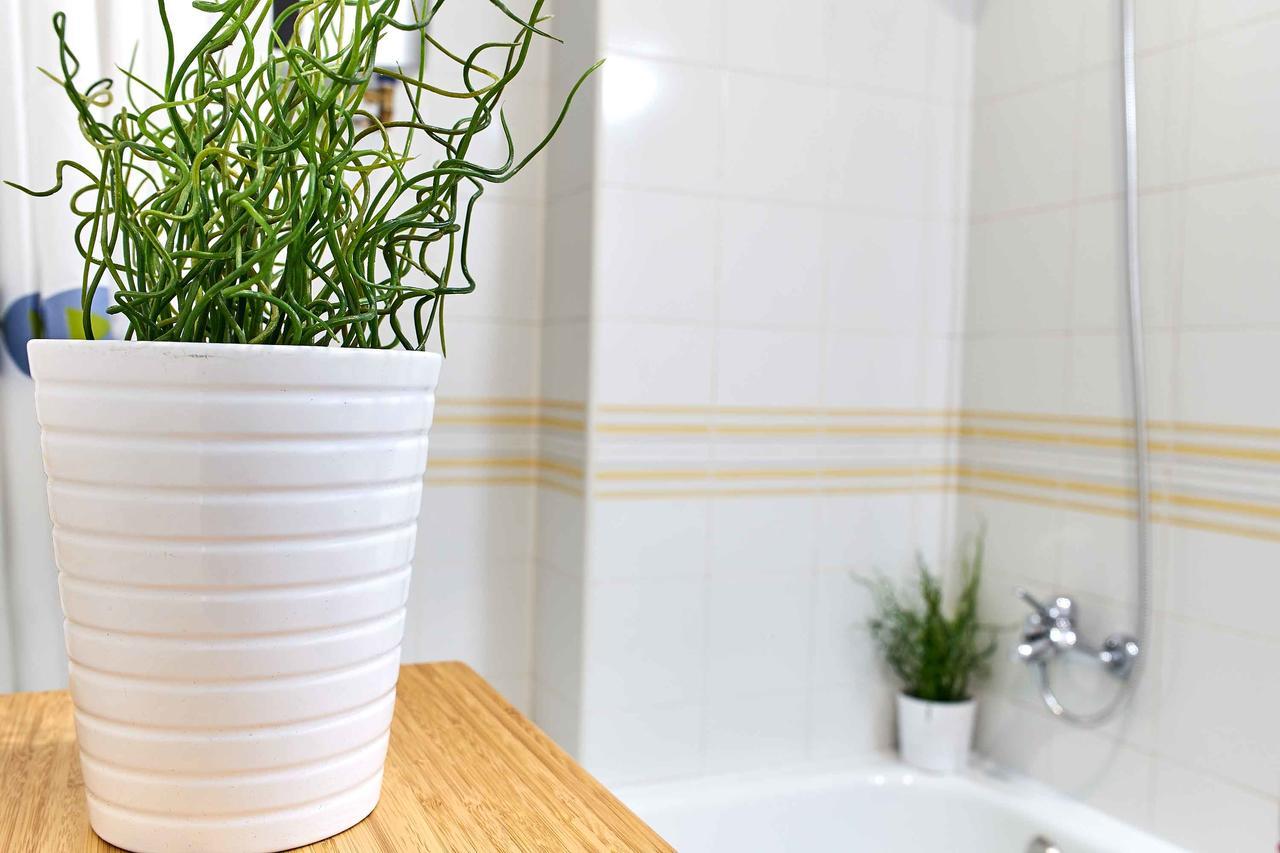 Espanhouse La Sal Estudio Apartment